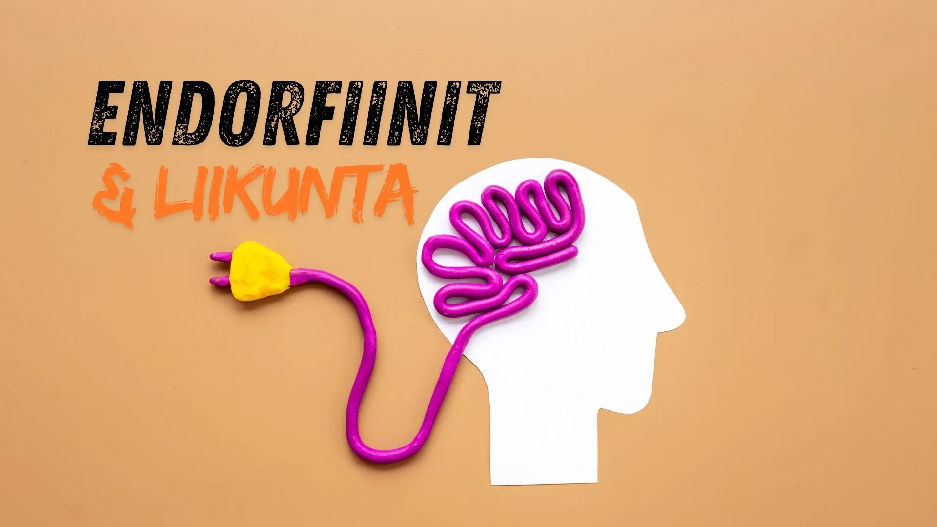 Endorfiinit, eli mielen hyvänolon hormonit sekä liikunnan vaikutukset endorfiinien tuotantoon.