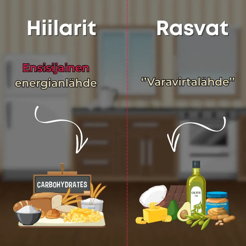 Vertailu hiilihydraattien ja rasvojen välillä kehon energianlähteinä – ensisijainen ja varavirtalähde